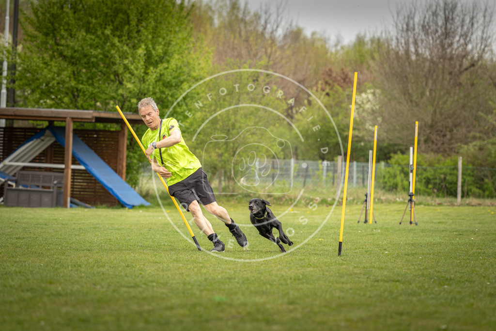 Pfotenfotografie_DV3A7633 | Hundefotografie, Tierfotograf, Pfotenfotografie, Fotoshooting Hund, Hunde Portrait, Hundesport, Hundeportraits, Heideshooting, Hunde, Sportfotograf, Hundefotograf, Turnierhundsport, THS,  - Realisiert mit Pictrs.com