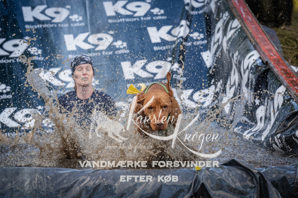 1553_ZZ91053 | kk-dogfotos