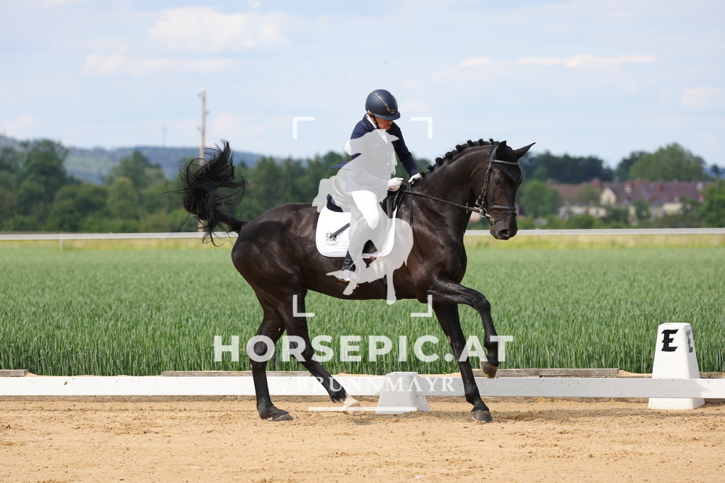 0P6A9099 | Willkommen bei Brunnmayr - Design & Fotografie – Ihrem Spezialisten für Reitturniere und Pferdeveranstaltungen in Oberösterreich, Salzburg und Bayern! Seit über 17 Jahren sind wir leidenschaftlich dabei.
