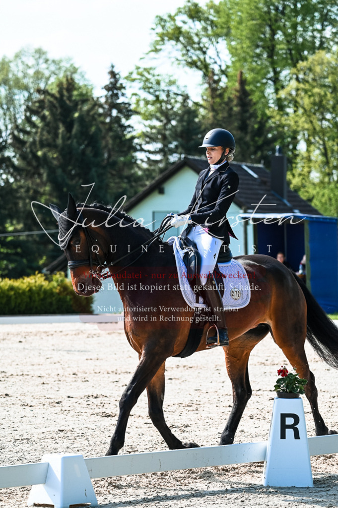 20230513_JK-Röhrsdorf-10-0225 | Pferde- und Turnierfotografie in Westsachsen. Pferdeportraits, Auftragszeichnungen und intuitive Kunst.