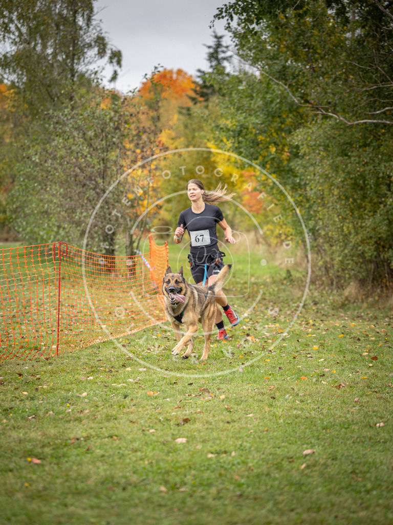 Pfotenfotografie_DV3A2764 | Hundefotografie, Tierfotograf, Pfotenfotografie, Fotoshooting Hund, Hunde Portrait, Hundesport, Hundeportraits, Heideshooting, Hunde, Sportfotograf, Hundefotograf, Turnierhundsport, THS,  - Realisiert mit Pictrs.com