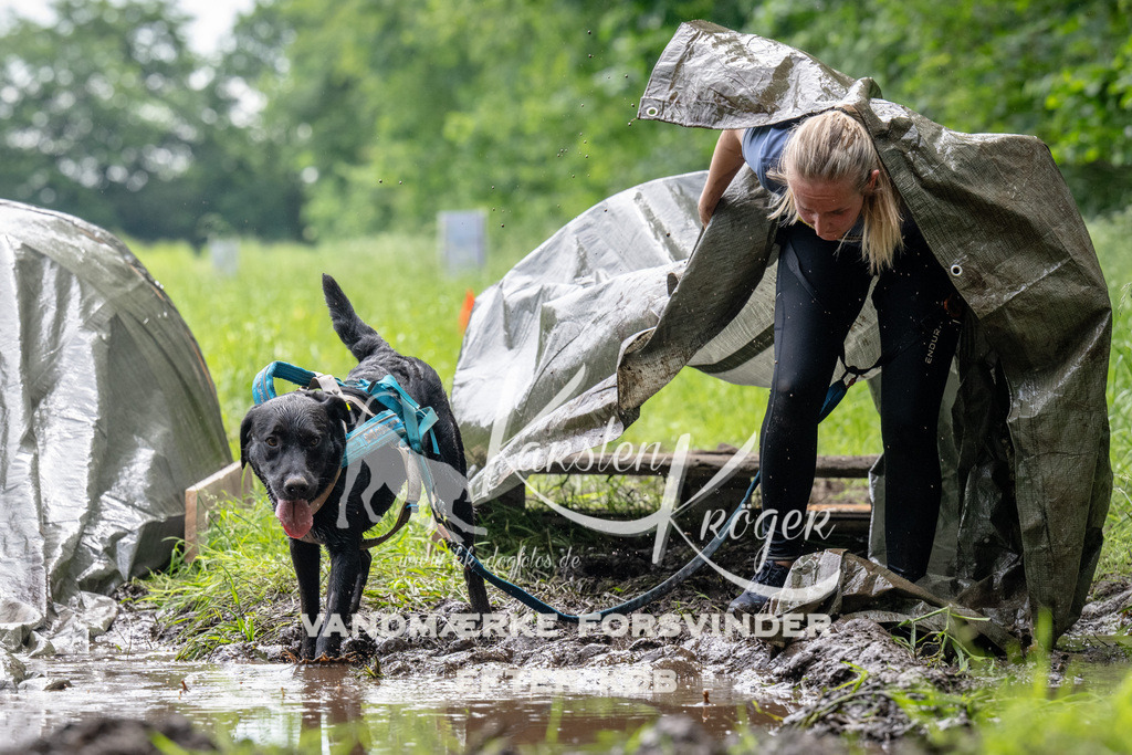 0959_ZZ92479 | kk-dogfotos