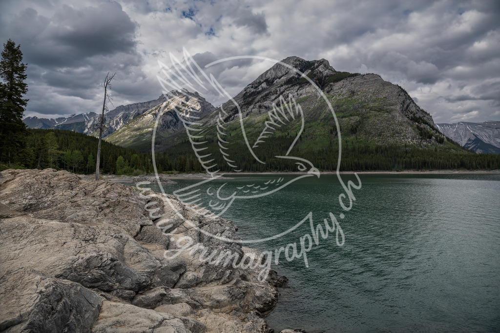 edge of the wild - canada | Authentische Landschafts- & Wildtierfotografie aus der Schweiz. Hochwertige Wandbilder, Fine-Art-Prints und Wunschmotive nach Auftrag – sorgfältig entwickelt im Grumagraphy-Style