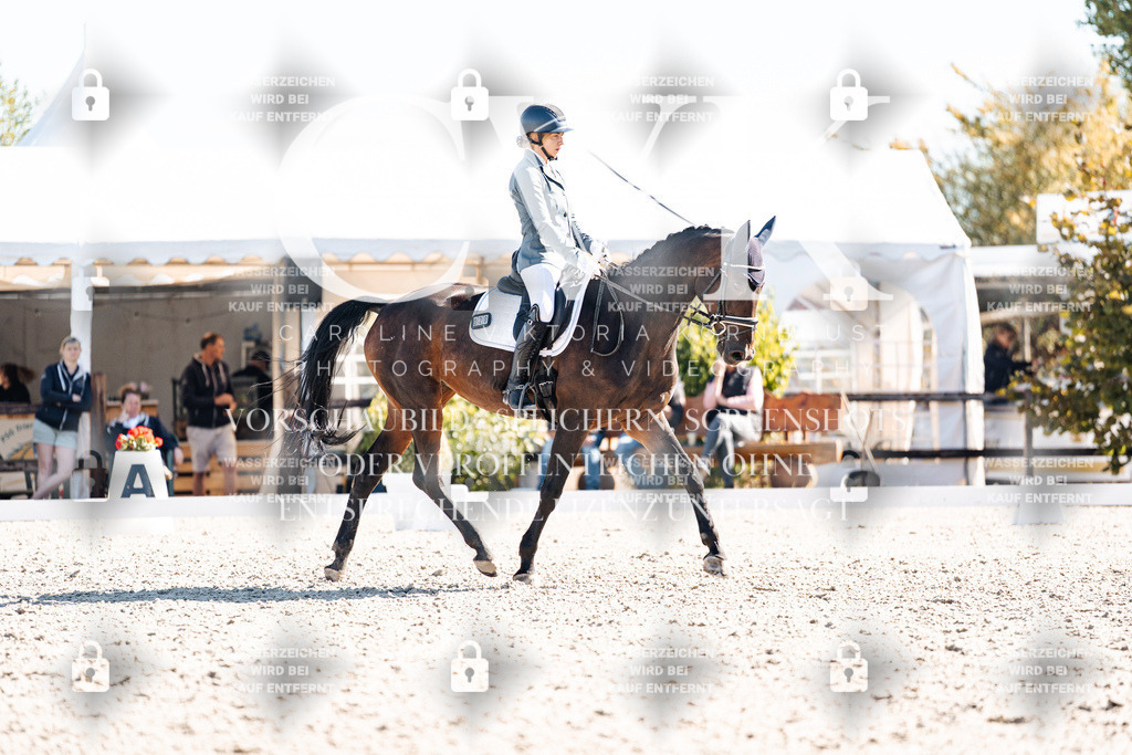CK908791 | Turnierfotografie Pferdefotografie Trier Rheinland-Pfalz Pferdesport Reitsport Tierfotografie Sportfotografie Pferdevideo Pferdevideografie Equestrianvideography equestrianphotography  - Realisiert mit Pictrs.com