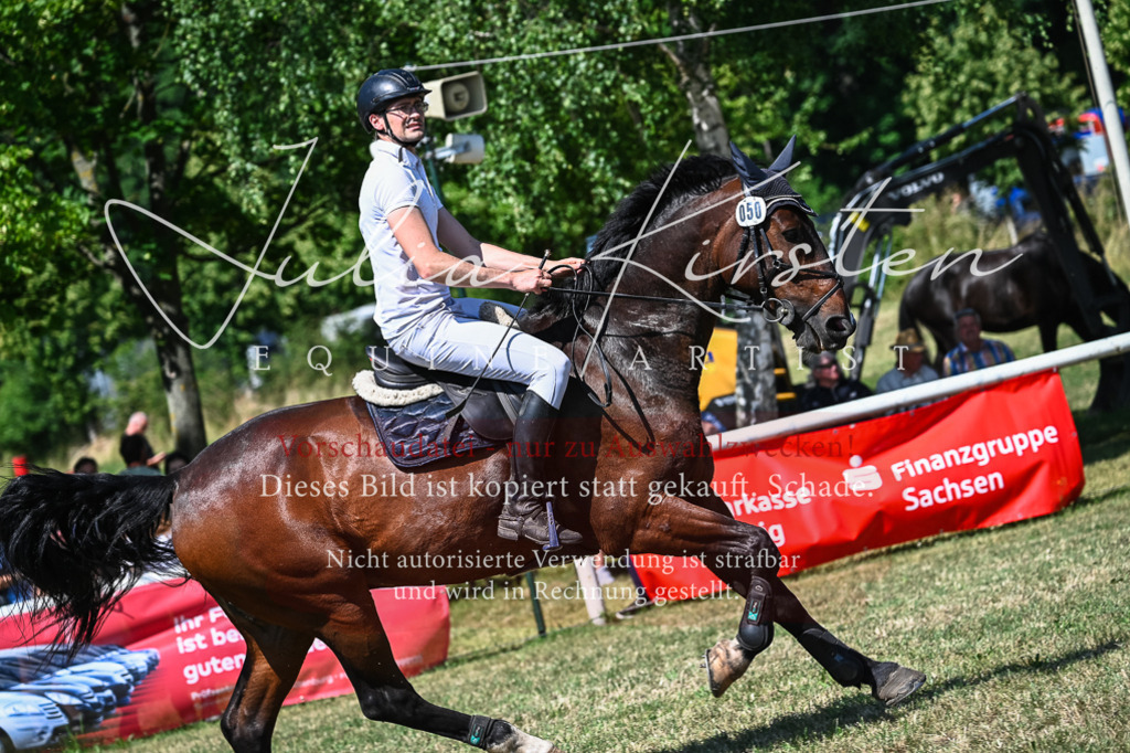 DSC_1214 | Pferde- und Turnierfotografie in Westsachsen. Pferdeportraits, Auftragszeichnungen und intuitive Kunst.
