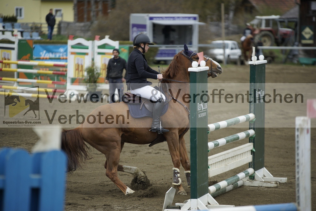 _DSC7304 | equestrian-live-com