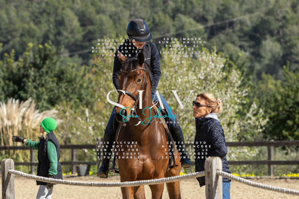 IMG_6619 | s-jay-photography - Realisiert mit Pictrs.com