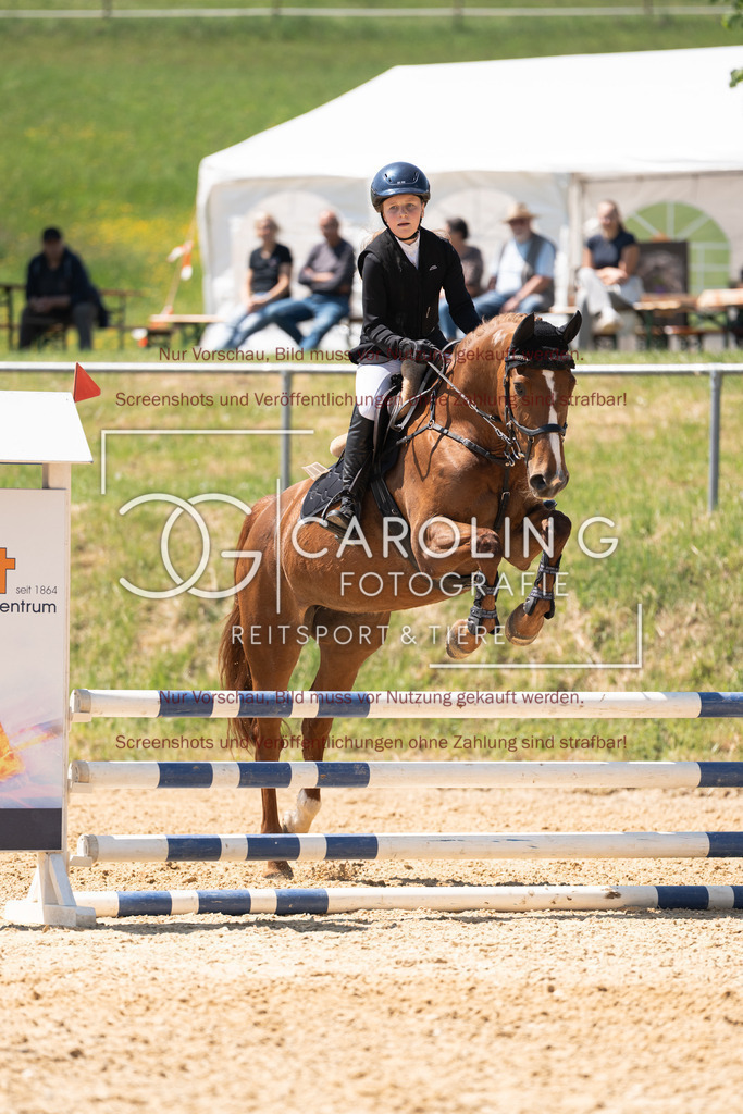 DSC04543 | Springturnier_Ehingen_Mai_2026, Franziska_Niedermeier, Karzalis