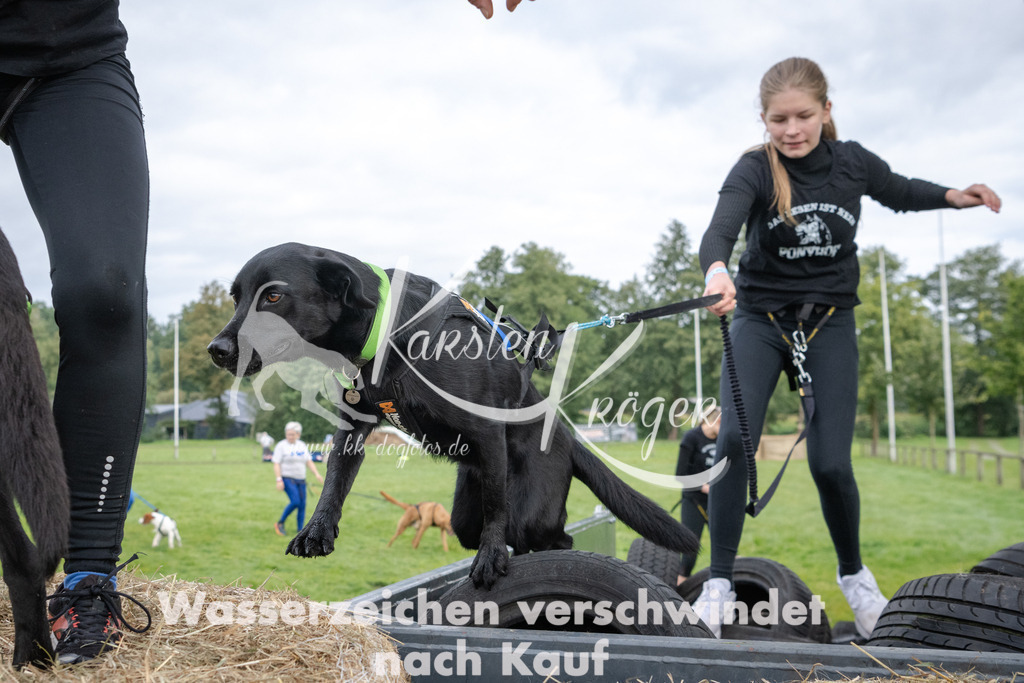 0955_ZZ91955 | kk-dogfotos