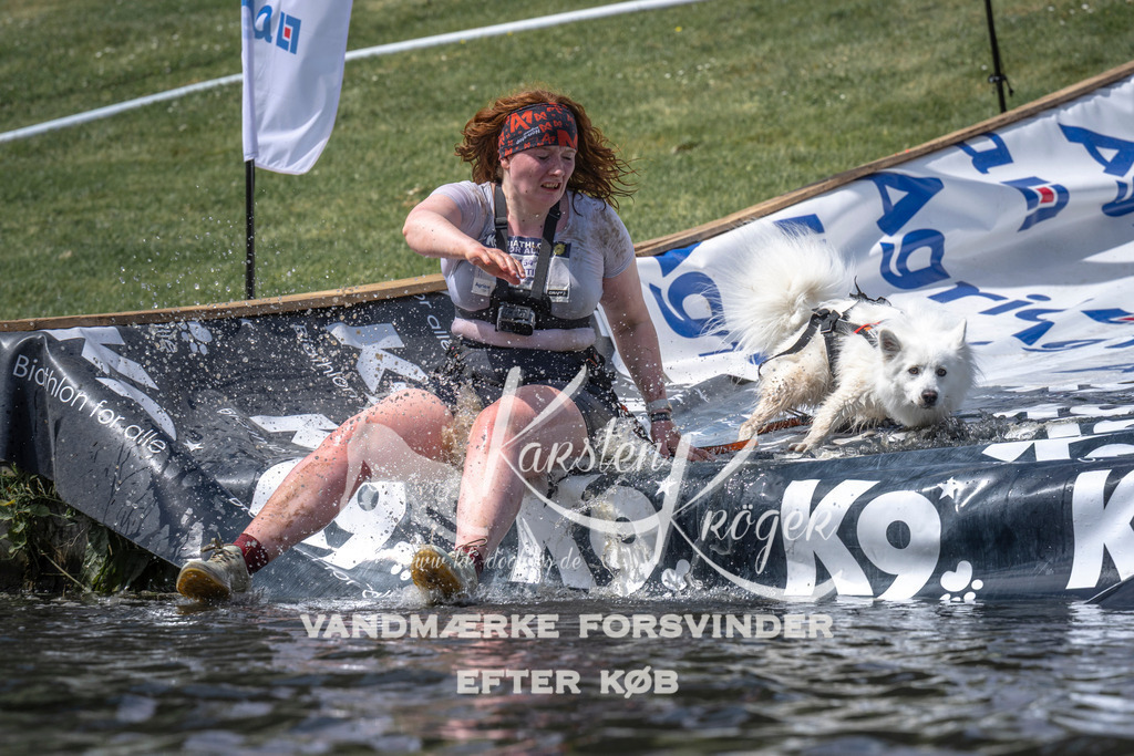 1244_ZZ98817 | kk-dogfotos