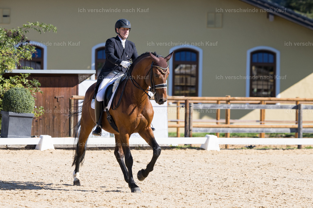 FHC2026_P07_168_17541 | working equitationturnier fotograf videograf stoibphotography marixx film working equitation deutschland reitsport turnierfotografie eventfotografie equestrian events