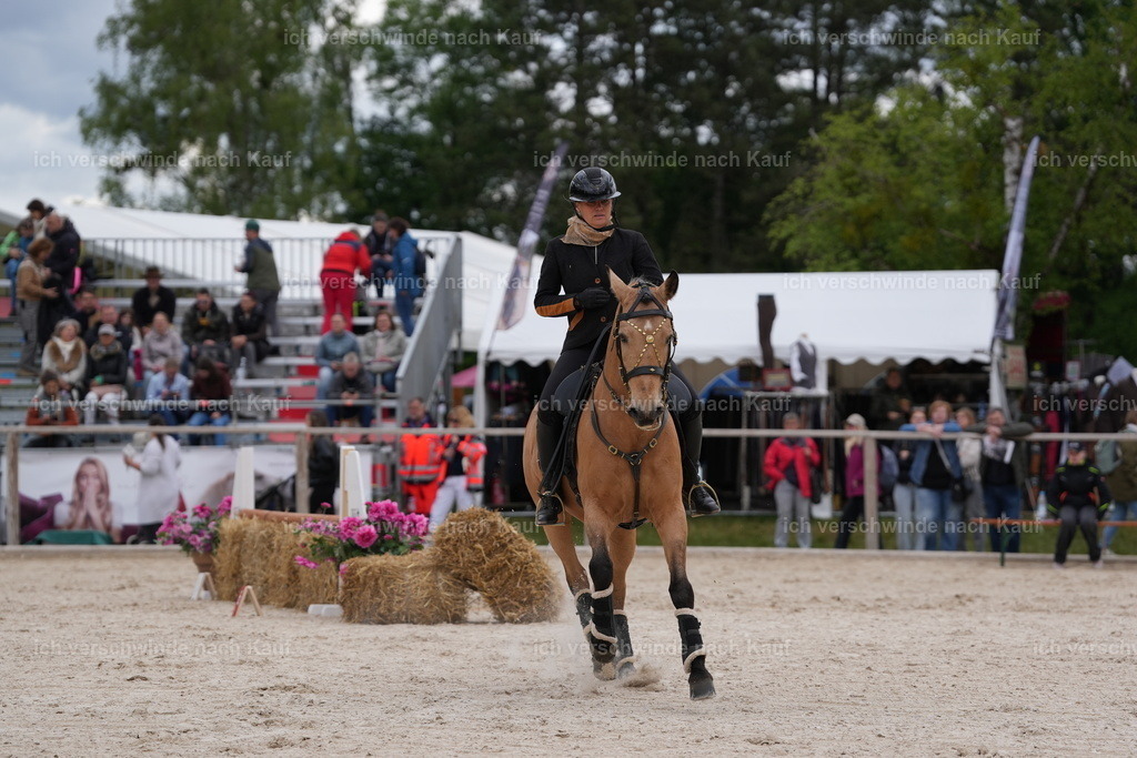 PI26_ST_Jan_Picutures7C_07977.JPG | working equitationturnier fotograf videograf stoibphotography marixx film working equitation deutschland reitsport turnierfotografie eventfotografie equestrian events