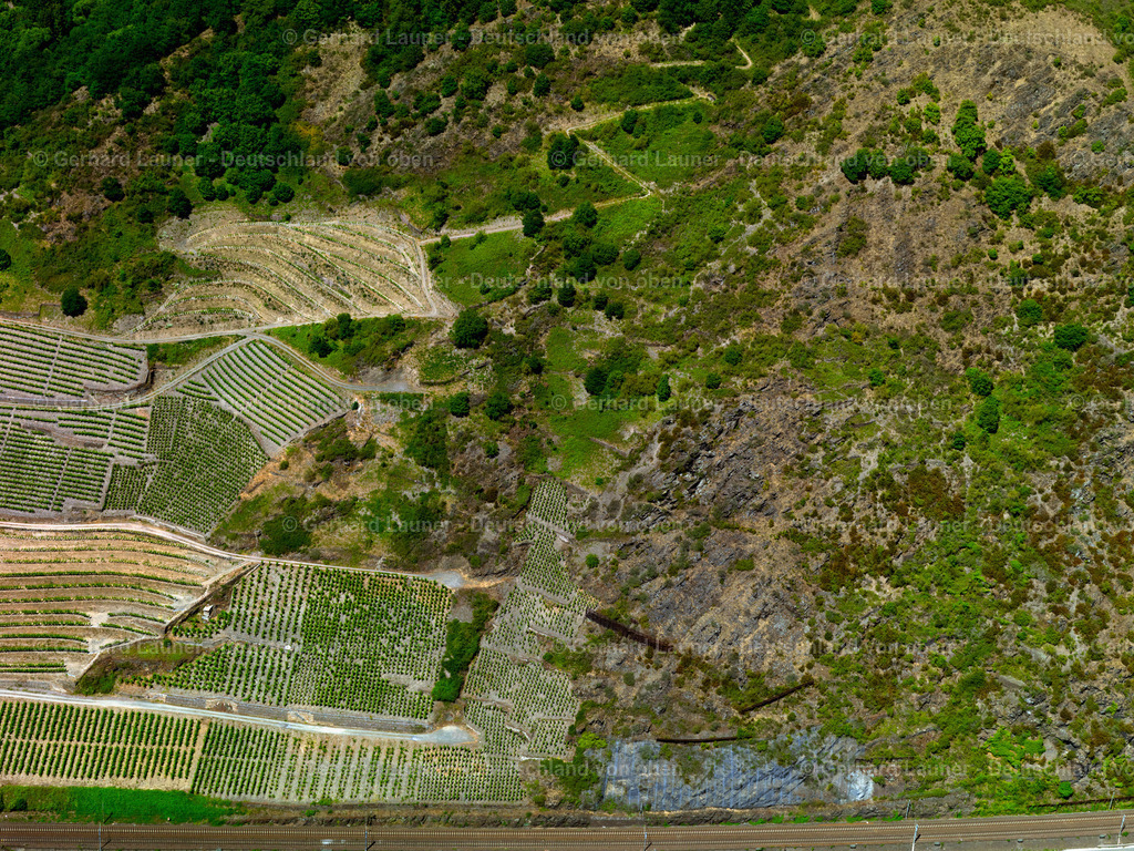 Weinbergel-Pommern-3114582 | Weinbergel bei Pommern