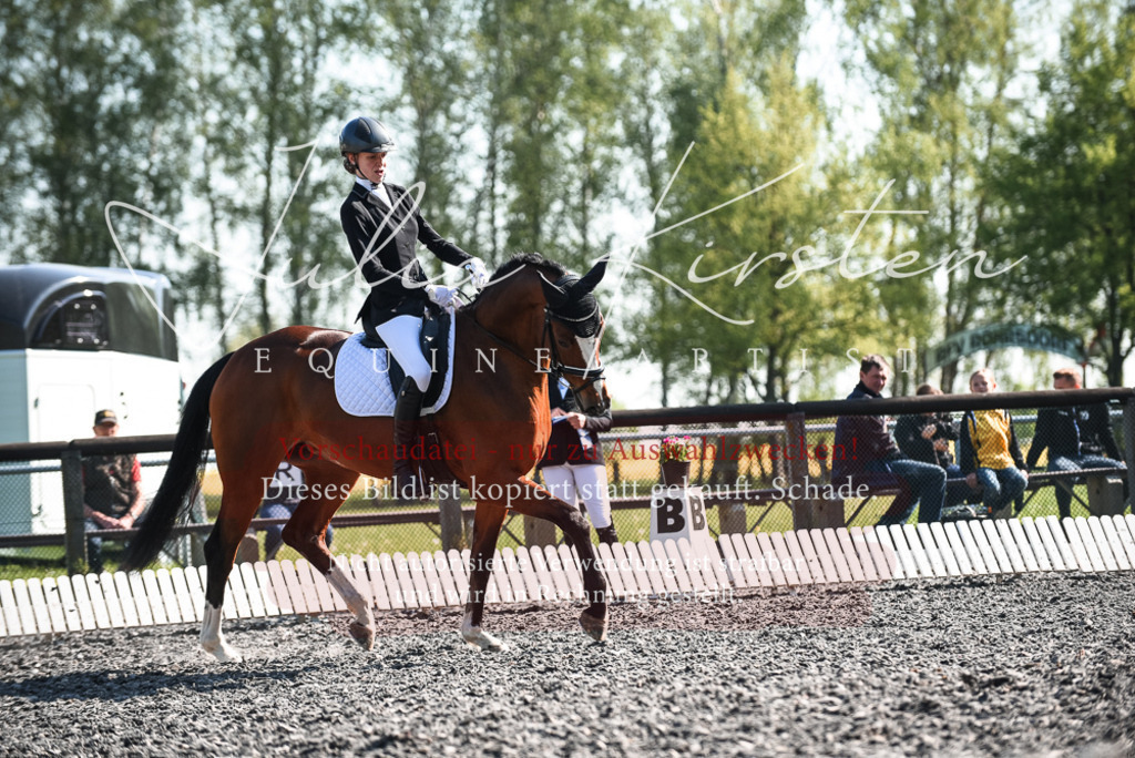 DSC_8675 | Pferde- und Turnierfotografie in Westsachsen. Pferdeportraits, Auftragszeichnungen und intuitive Kunst.