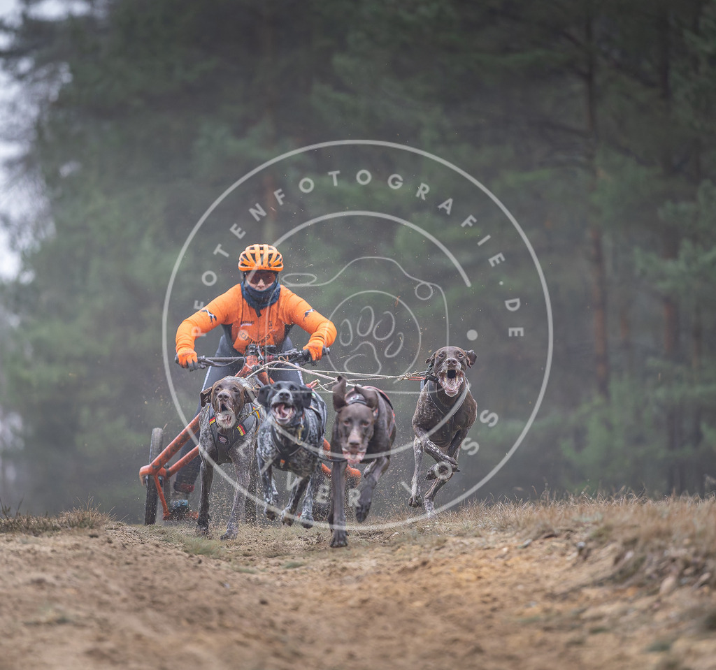 Pfotenfotografie_DV3A0300 | Hundefotografie, Tierfotograf, Pfotenfotografie, Fotoshooting Hund, Hunde Portrait, Hundesport, Hundeportraits, Heideshooting, Hunde, Sportfotograf, Hundefotograf, Turnierhundsport, THS,  - Realisiert mit Pictrs.com