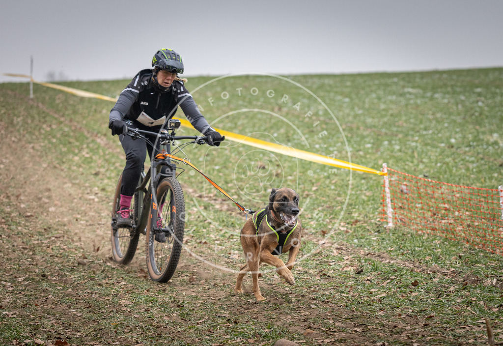 Pfotenfotografie_DV3A1548 | Hundefotografie, Tierfotograf, Pfotenfotografie, Fotoshooting Hund, Hunde Portrait, Hundesport, Hundeportraits, Heideshooting, Hunde, Sportfotograf, Hundefotograf, Turnierhundsport, THS,  - Realisiert mit Pictrs.com