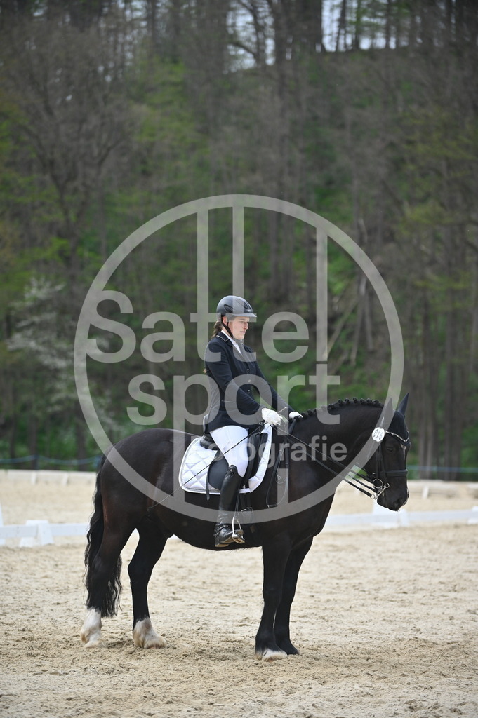 DSC_5181 | sattelsport - Realisiert mit Pictrs.com