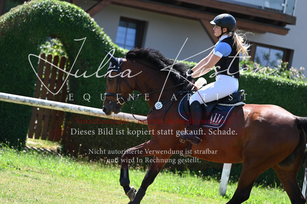 DSC_0657 | Pferde- und Turnierfotografie in Westsachsen. Pferdeportraits, Auftragszeichnungen und intuitive Kunst.