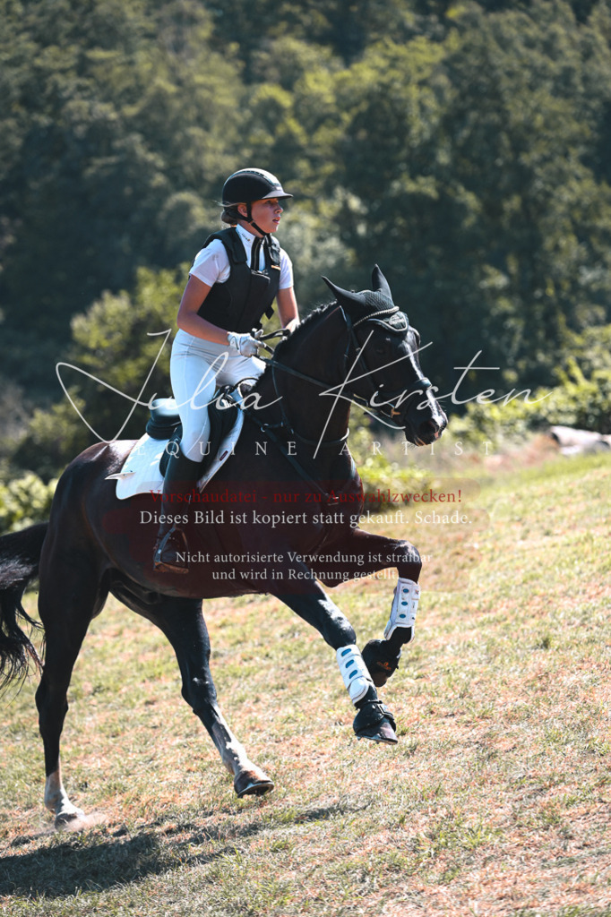 DSC_8365 | Pferde- und Turnierfotografie in Westsachsen. Pferdeportraits, Auftragszeichnungen und intuitive Kunst.