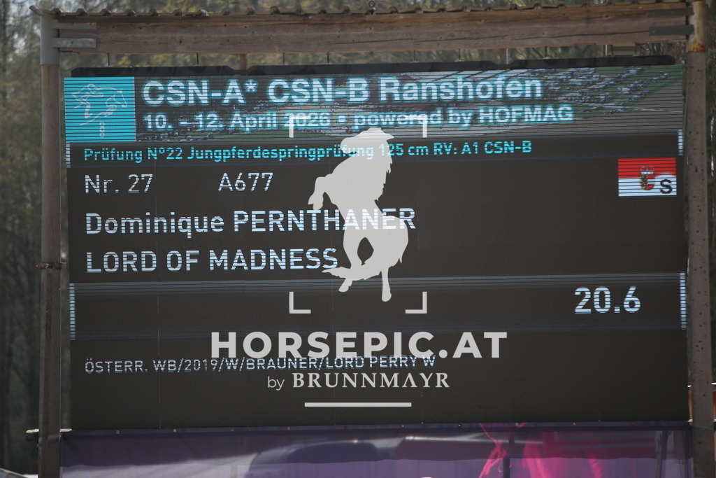 PP013901 | Willkommen bei Brunnmayr - Design & Fotografie – Ihrem Spezialisten für Reitturniere und Pferdeveranstaltungen in Oberösterreich, Salzburg und Bayern! Seit über 17 Jahren sind wir leidenschaftlich dabei.