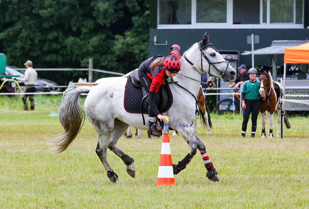 1B3A2696 | Reitsport Reiten