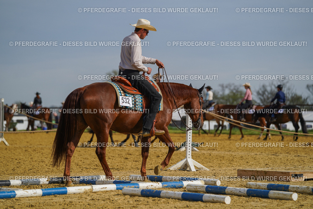 DSC01499 | Pferdegrafie