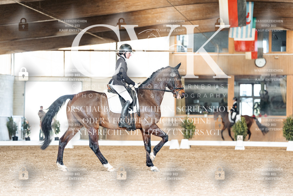 CK901950 | Turnierfotografie Pferdefotografie Trier Rheinland-Pfalz Pferdesport Reitsport Tierfotografie Sportfotografie Pferdevideo Pferdevideografie Equestrianvideography equestrianphotography  - Realisiert mit Pictrs.com