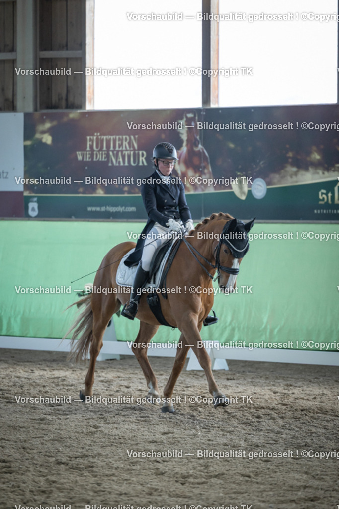 _D5A0468 | Emotionale Pferde- & People-Fotografie rund um Heidelberg, Leimen & Umgebung. Natürliche Fotos von Pferd, Mensch & Familie. Jetzt Termin sichern!