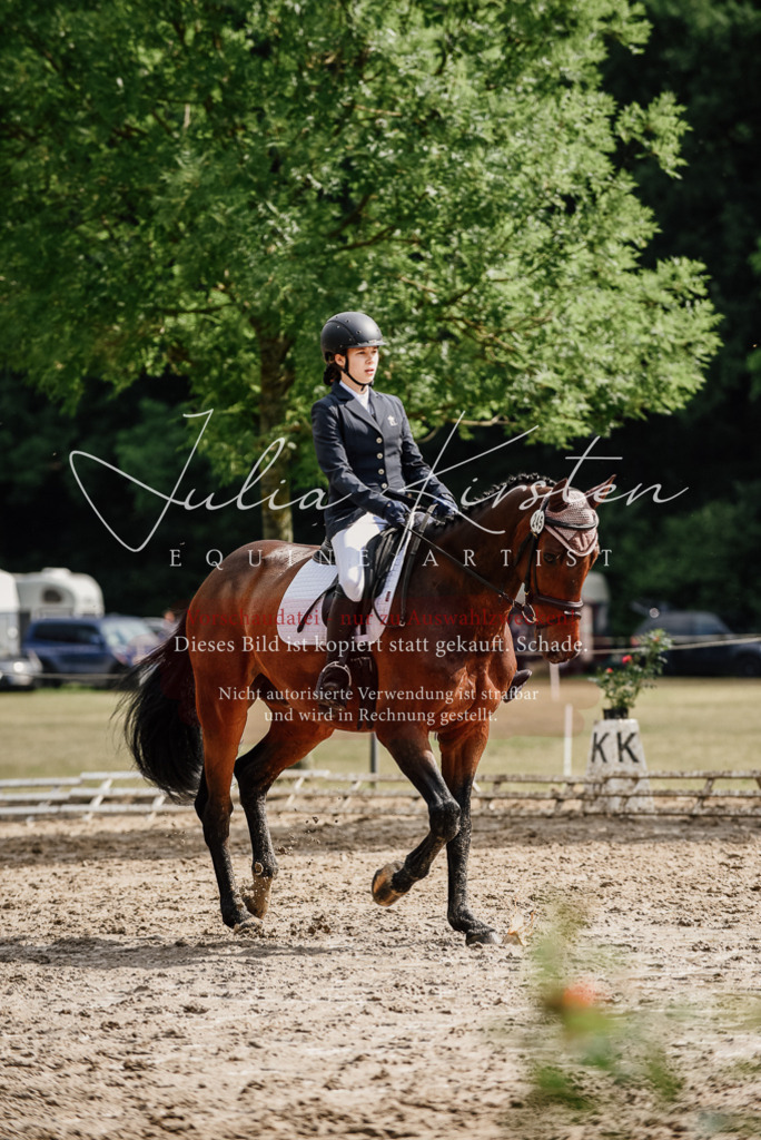 DSC_9584 | Pferde- und Turnierfotografie in Westsachsen. Pferdeportraits, Auftragszeichnungen und intuitive Kunst.