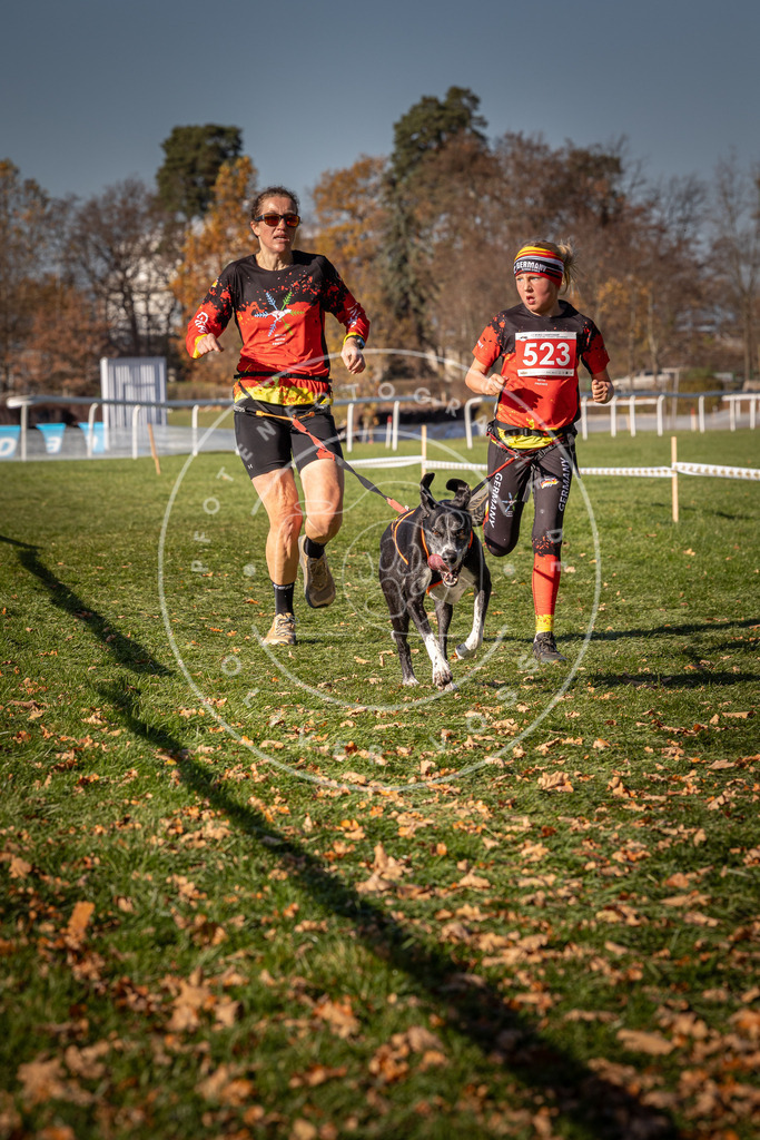 CaniXpix_0L8A7141 | Hundefotografie, Tierfotograf, Pfotenfotografie, Fotoshooting Hund, Hunde Portrait, Hundesport, Hundeportraits, Heideshooting, Hunde, Sportfotograf, Hundefotograf, Turnierhundsport, THS,  - Realisiert mit Pictrs.com