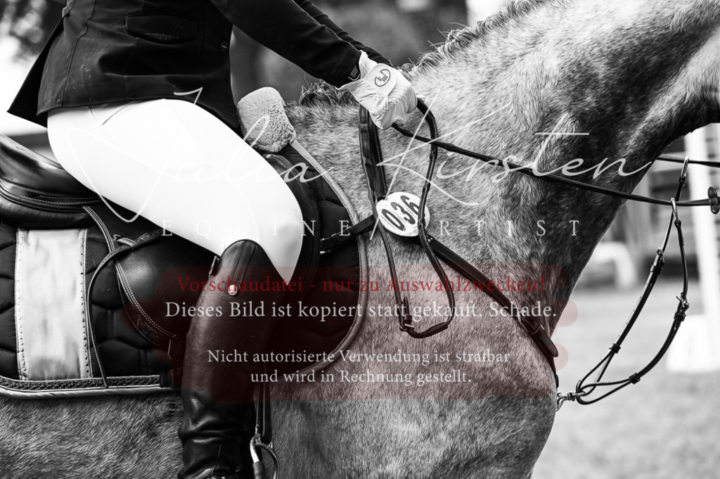 DSC_8940 | Pferde- und Turnierfotografie in Westsachsen. Pferdeportraits, Auftragszeichnungen und intuitive Kunst.
