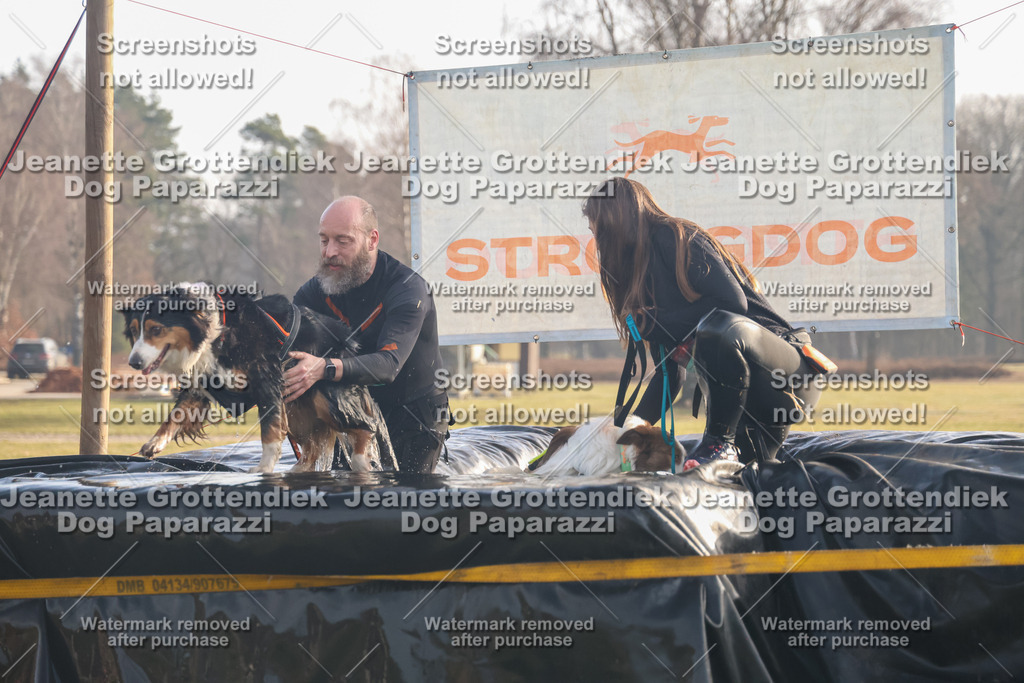 Dog Paparazzi - SD North 0326 900930-153 | Dog Paparazzi Jeanette Grottendiek Fotografie & Videografie - Realisiert mit Pictrs.com