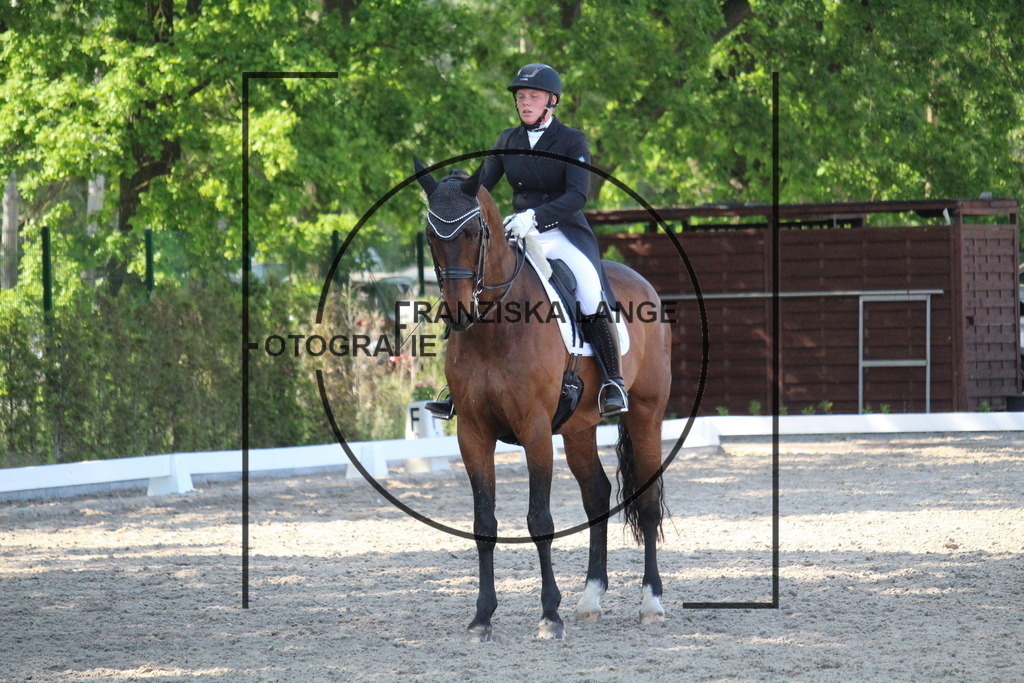 IMG_5662 | franziskalange - Realisiert mit Pictrs.com