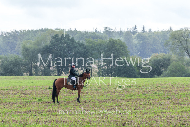 Jagd Perdoel 26 Sony-03380_MarinaHewig | Fotografie, FotoArt, PferdesportArt, Pferdesportfotografie, Landschaftsfotografie, Reisefotografie, Reise, Pferde - Realisiert mit Pictrs.com