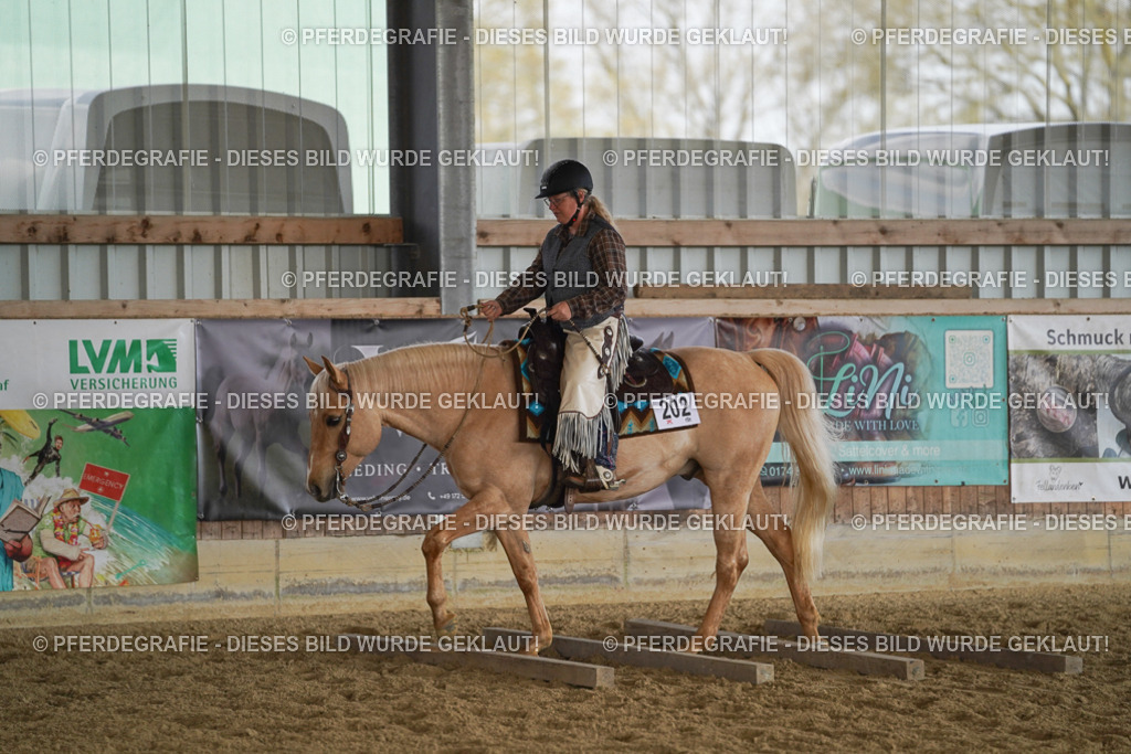 DSC00905 | Pferdegrafie