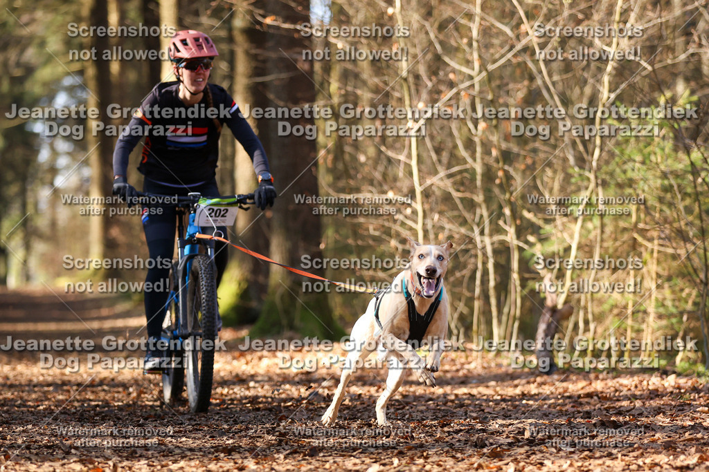 Dog Paparazzi - VCC26-976 | Dog Paparazzi Jeanette Grottendiek Fotografie & Videografie - Realisiert mit Pictrs.com