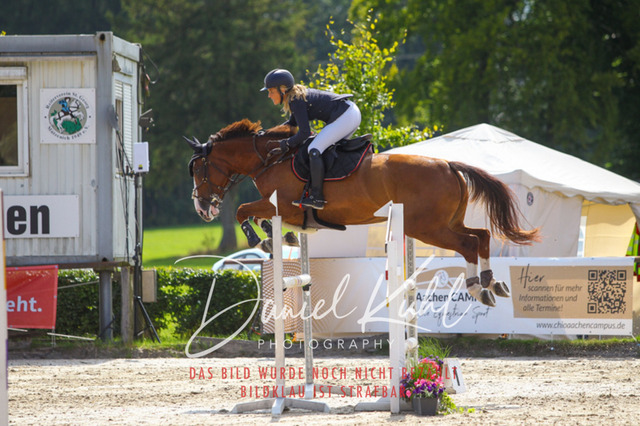 DKP43643 | Turniersportfotografie; Pferdefotografie; Dressurfotografie