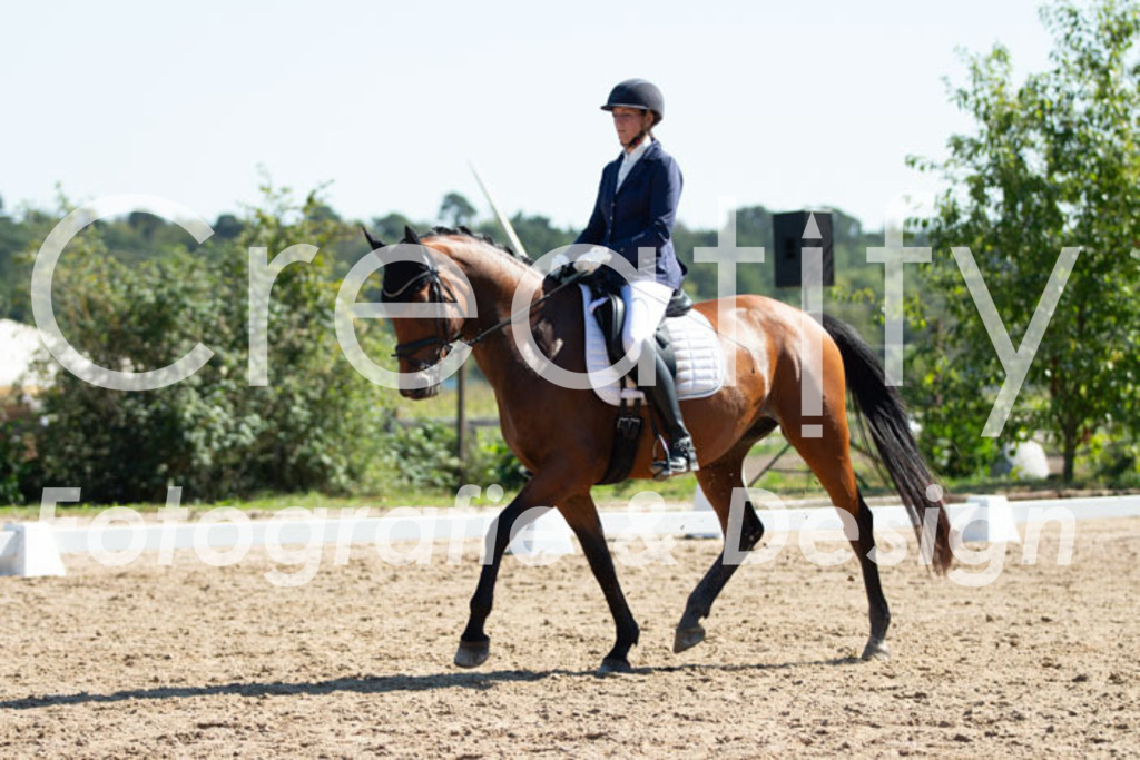 IMG_4331 | Creatify Fotografie