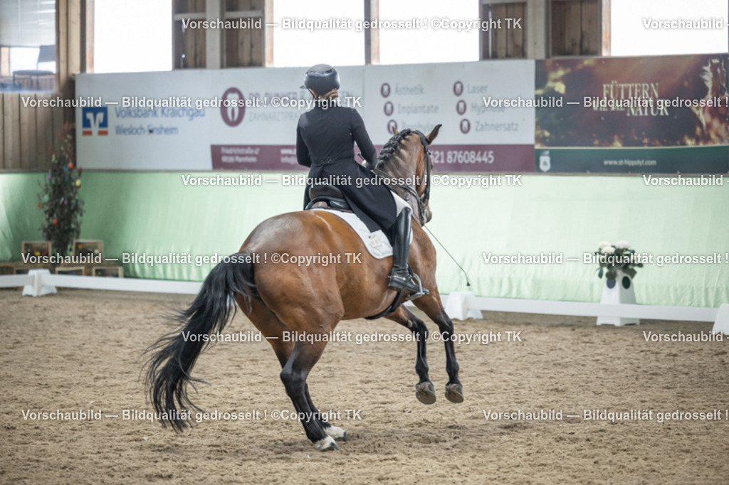 _D5A6357 | Emotionale Pferde- & People-Fotografie rund um Heidelberg, Leimen & Umgebung. Natürliche Fotos von Pferd, Mensch & Familie. Jetzt Termin sichern!