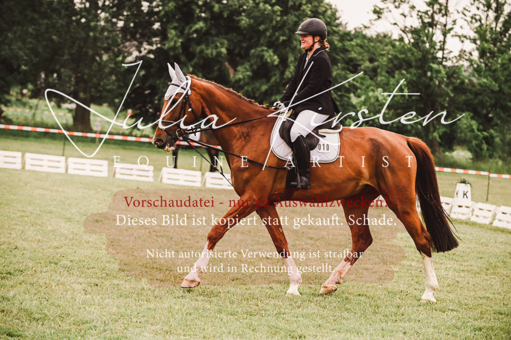 DSC_5073 | Pferde- und Turnierfotografie in Westsachsen. Pferdeportraits, Auftragszeichnungen und intuitive Kunst.