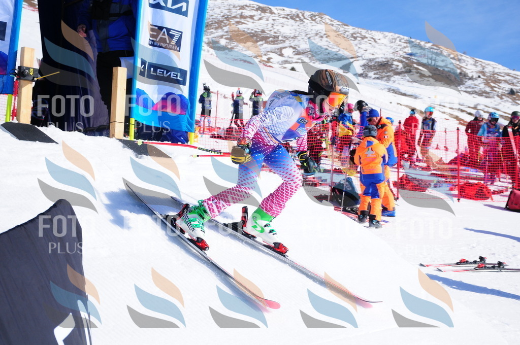 DSC_3590 | holidayphoto