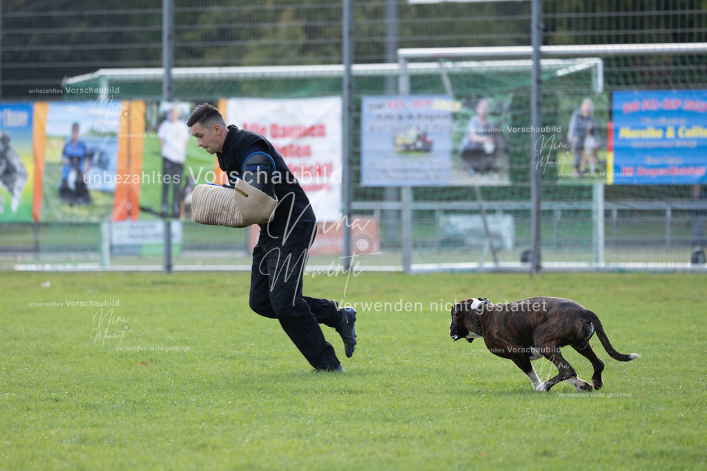 _16A6488 | Einzigartige Fotos von Hunden & Menschen –Actionfotos, Portraits, Vereinsaufnahmen & Paarshootings – authentisch, lebendig & mit Herz.
