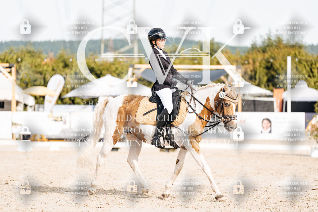 CK904792 | Turnierfotografie Pferdefotografie Trier Rheinland-Pfalz Pferdesport Reitsport Tierfotografie Sportfotografie Pferdevideo Pferdevideografie Equestrianvideography equestrianphotography  - Realisiert mit Pictrs.com