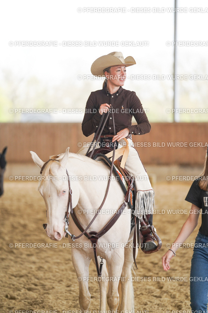 DSC02249 | Pferdegrafie