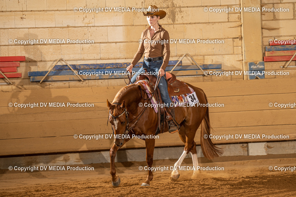 NID01833 | dv-media-shop - Realisiert mit Pictrs.com