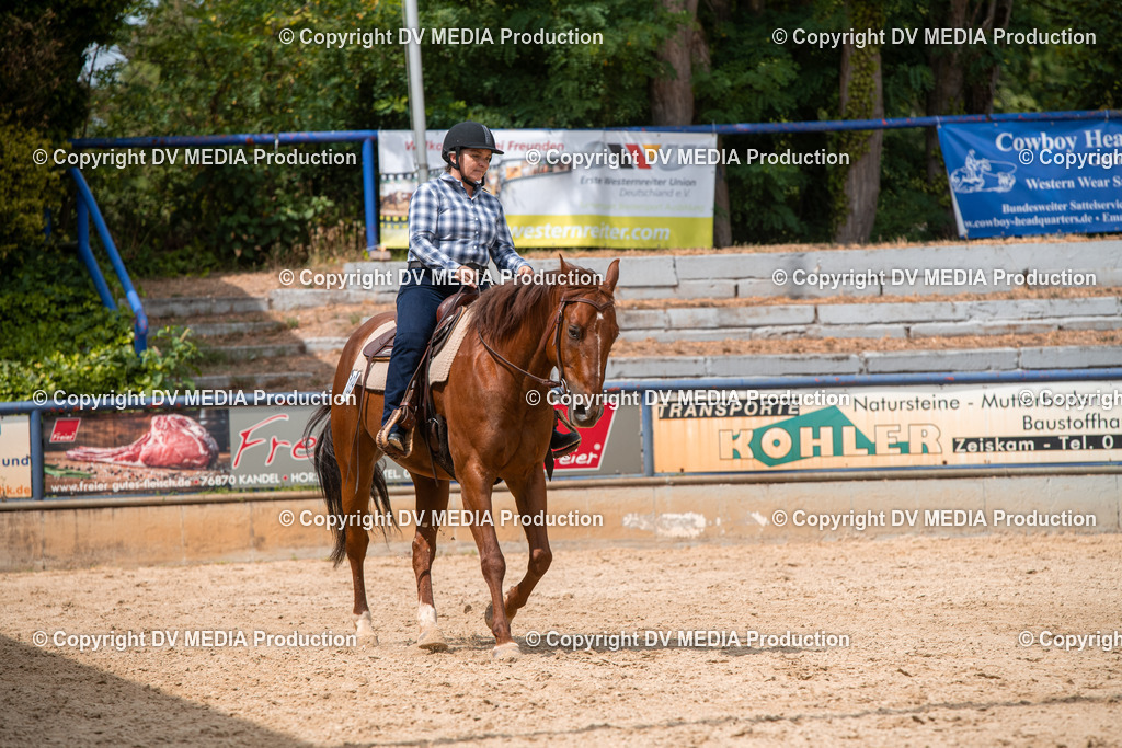 EWP_6120 | dv-media-shop - Realisiert mit Pictrs.com