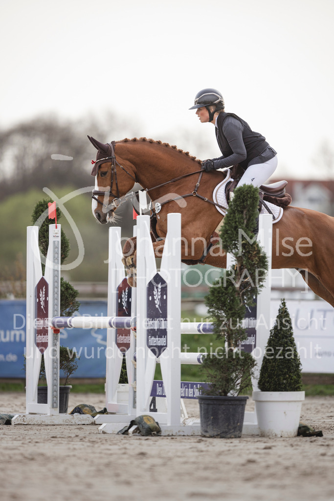 240330_Fruehlingsfest_Amateur-SprPf-A-228 | Deine schönsten Turniermomente als professionelle Fotos! Entdecke hochwertige Pferdesport-Fotografie im Online-Shop. Jetzt Fotos finden & bestellen!