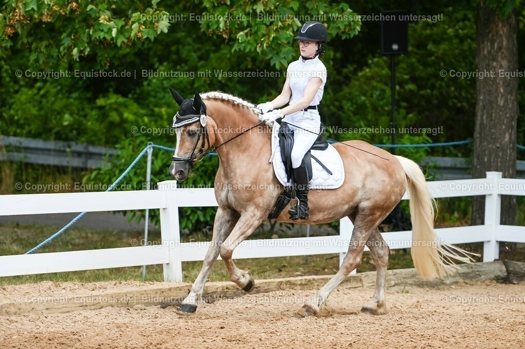 20230715_05_Dressurprüfung Kl.A++_0107 | equistock