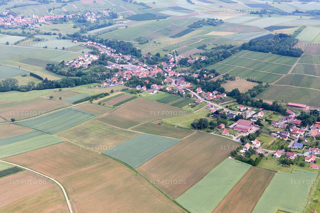 Luftbild: Ortsansicht in Steinseltz im Bundesland Bas-Rhin in Frankreich. Foto: IMG_100740.jpg vom 05.06.2017 durch Werner Riehm/FLY-FOTO.de