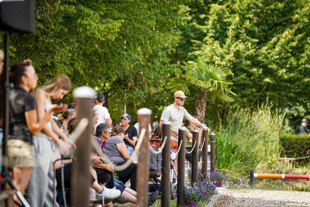 DSC02991 | Pferdegrafie